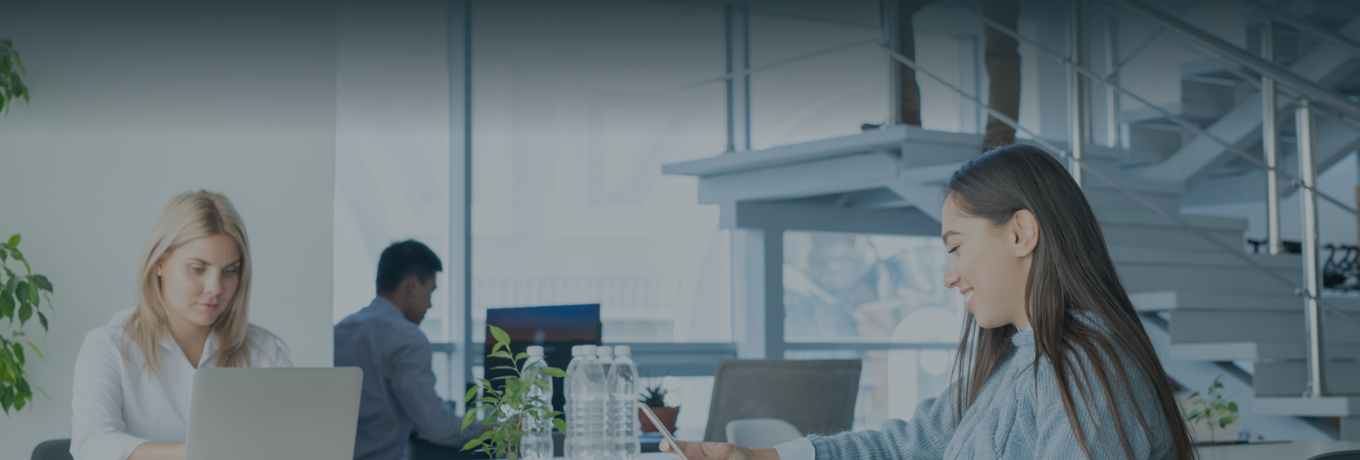 Business Support Banner